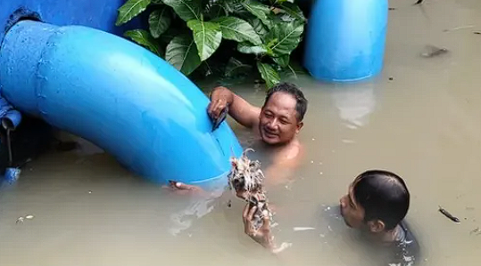 Foto: Petugas Bersihkan Pompa Banjir Bedahan, Aliran Air Kembali Lancar
