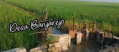 Foto: Jaga Kelancaran Irigasi, UPTD PSDA Babat Bersihkan Saluran dan Pantau Kondisi Tanaman di Prijetan