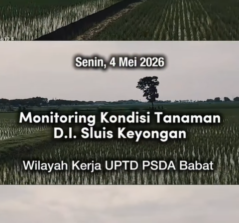 Foto: UPTD PSDA Babat Lakukan Monitoring Kondisi Tanaman di D.I. Sluis Keyongan