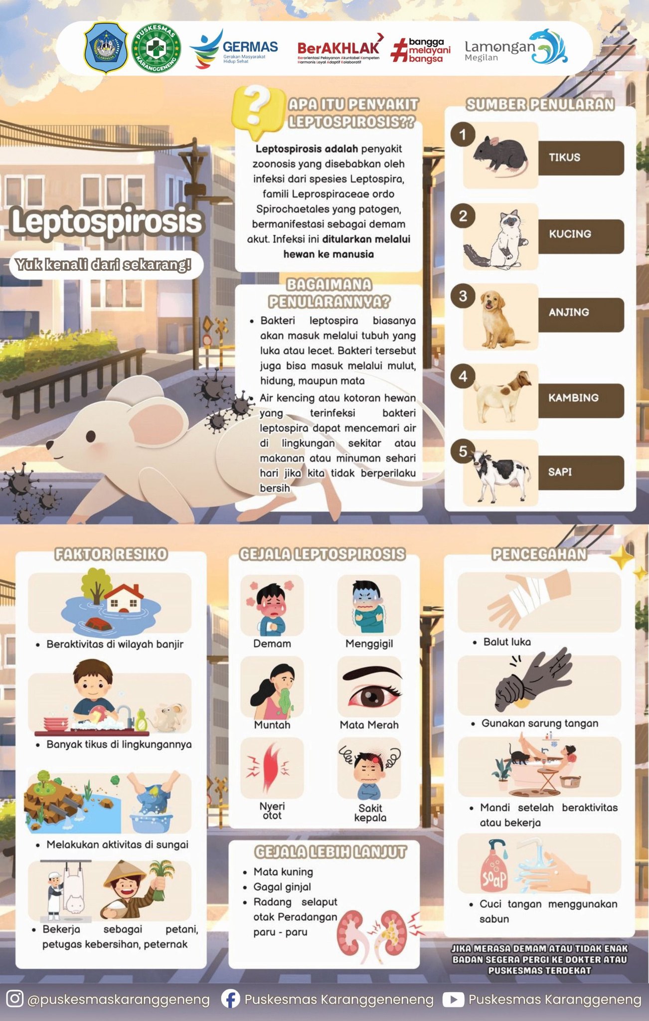 Foto: WASPADA PENYAKIT LEPTOSPIROSIS SAAT HUJAN TIBA