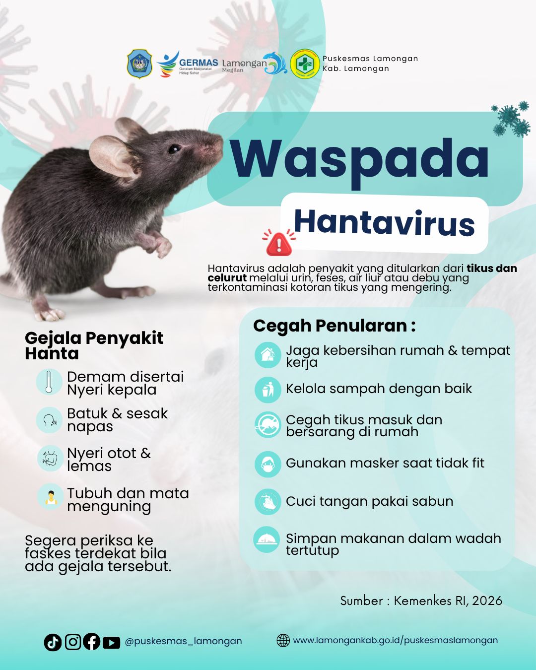 Foto: WASPADA HANTAVIRUS