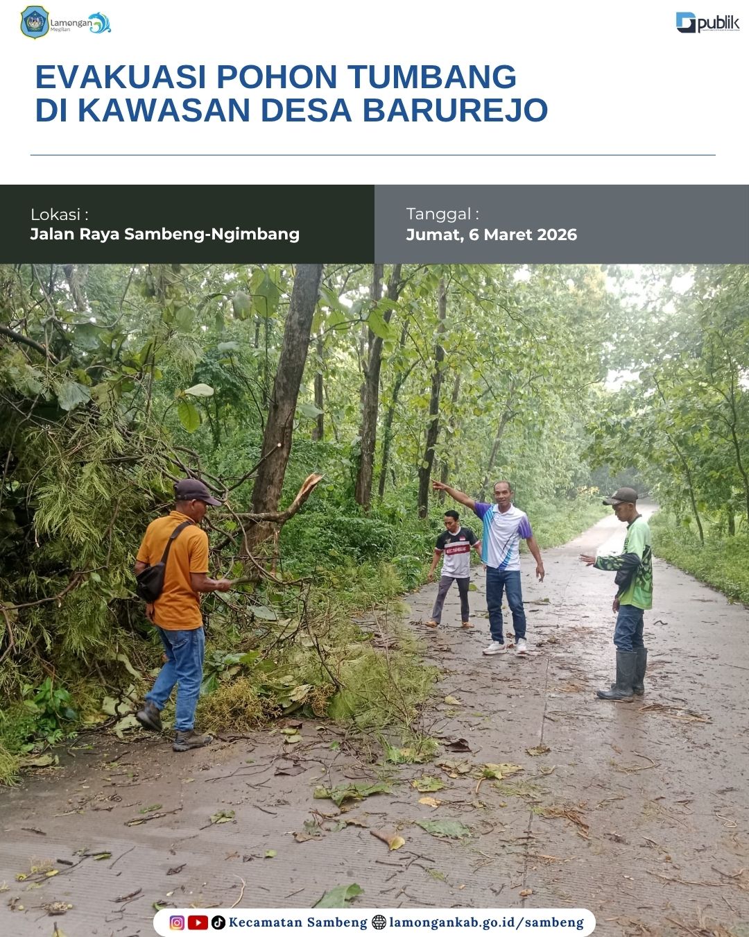 Foto: EVAKUASI POHON TUMBANG DI KAWASAN DESA BARUREJO