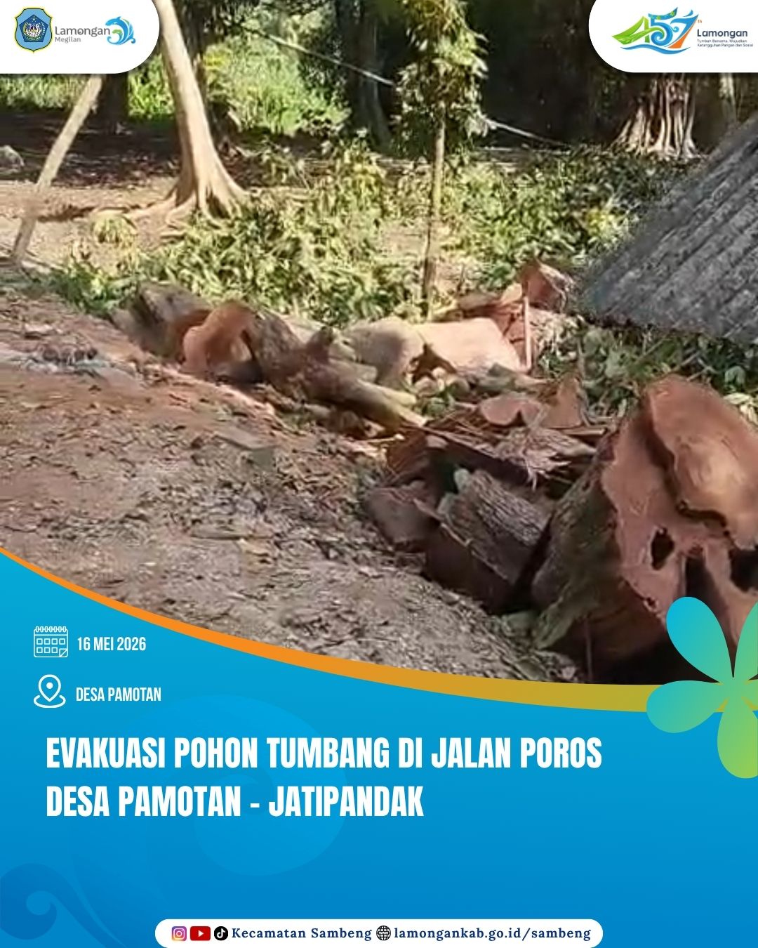Foto: AKSI CEPAT TANGGAP, TIM GABUNGAN EVAKUASI POHON TUMBANG DI JALAN POROS DESA PAMOTAN - JATIPANDAK