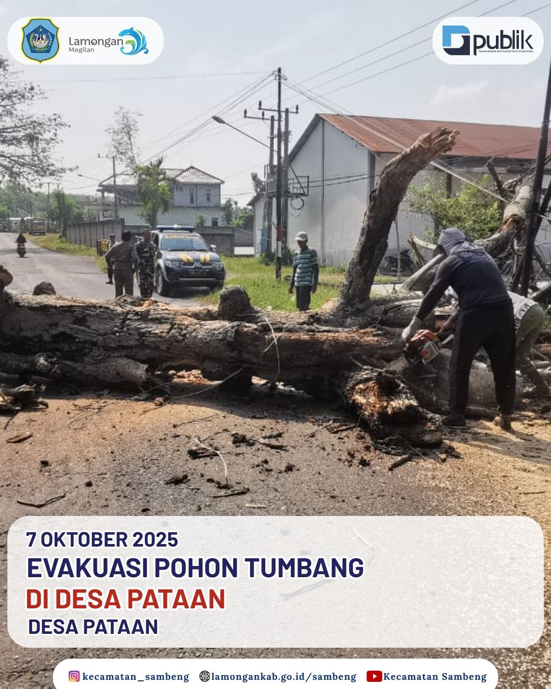 Foto: EVAKUASI POHON TUMBAS DI JALAN RAYA SAMBENG - NGIMBANG