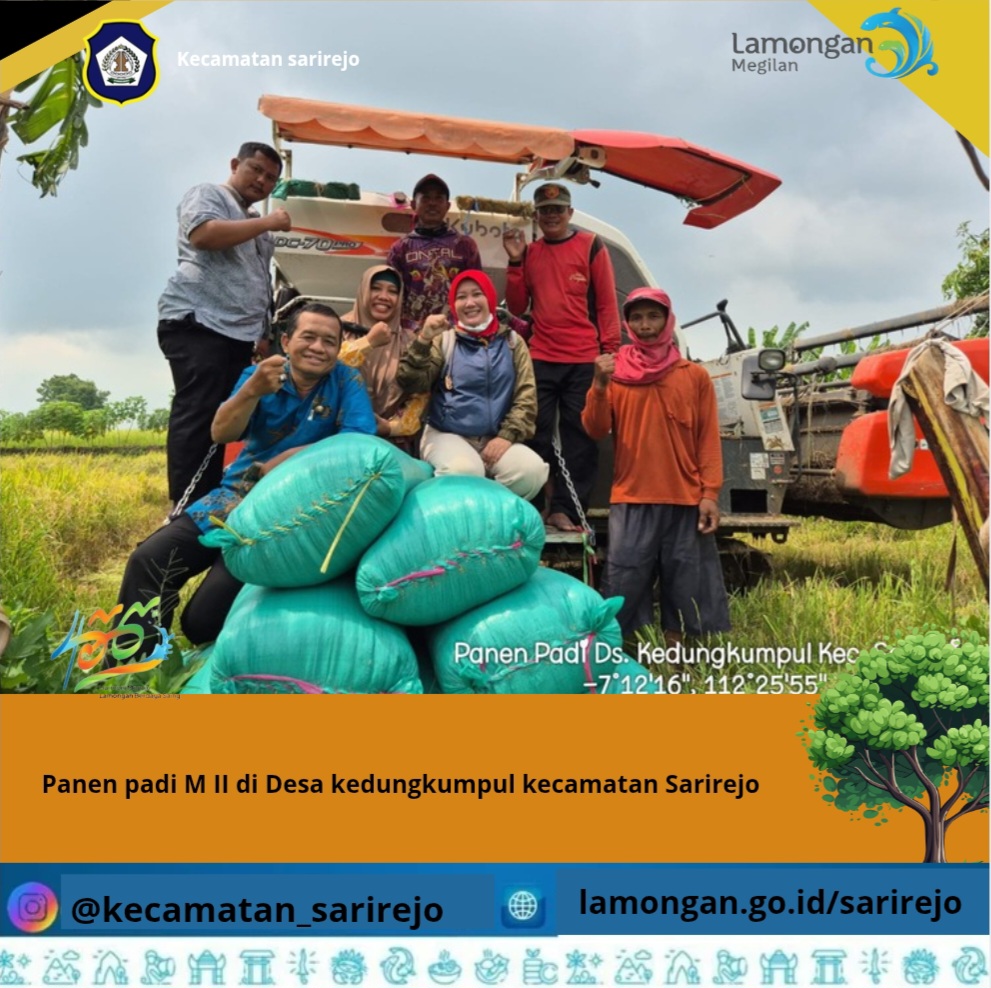 Panen Padi MT II di Desa kedungkumpul, kecamatan sarirejo