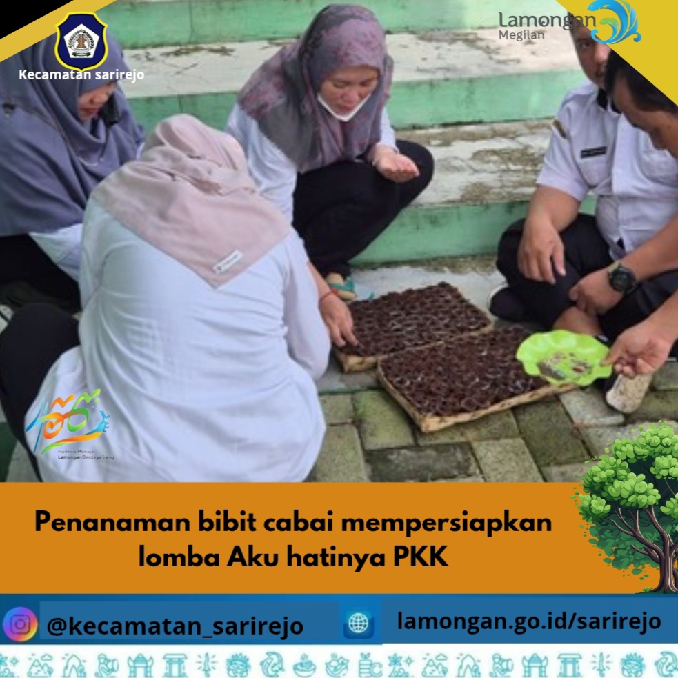 Penanaman Bibit Cabai persiapan lomba aku hatinya PKK