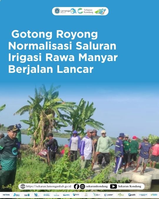 Foto: Gotong Royong Normalisasi Saluran Irigasi Rawa Manyar Berjalan Lancar