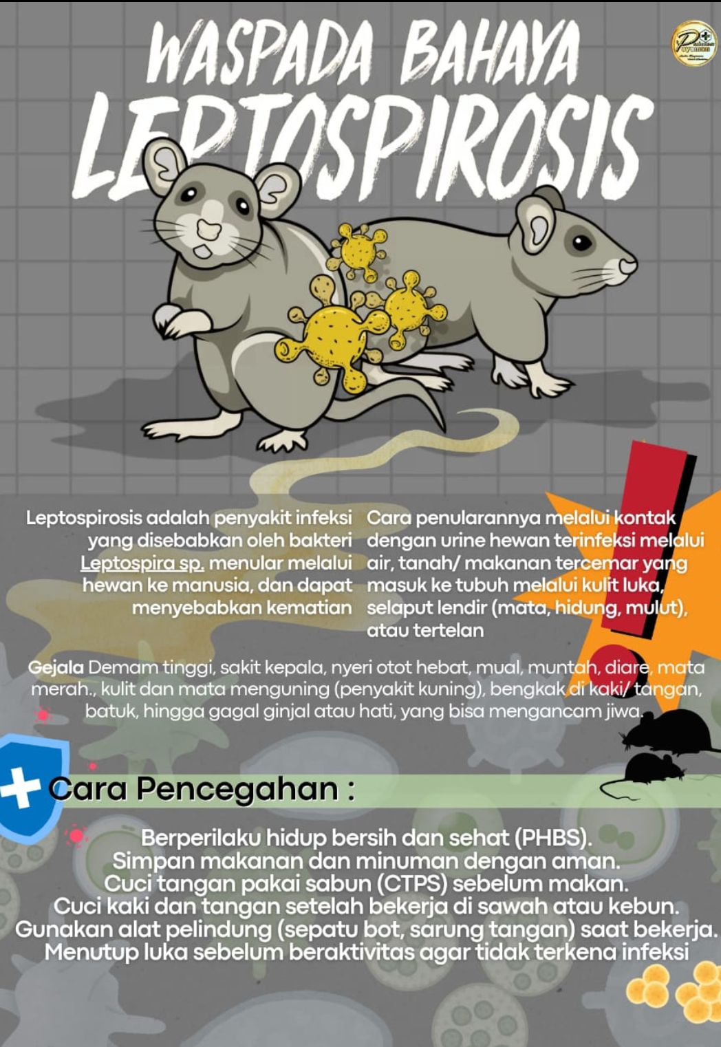 Foto: MUSIM HUJAN WASPADA BAHAYA LEPTOSPIROSIS