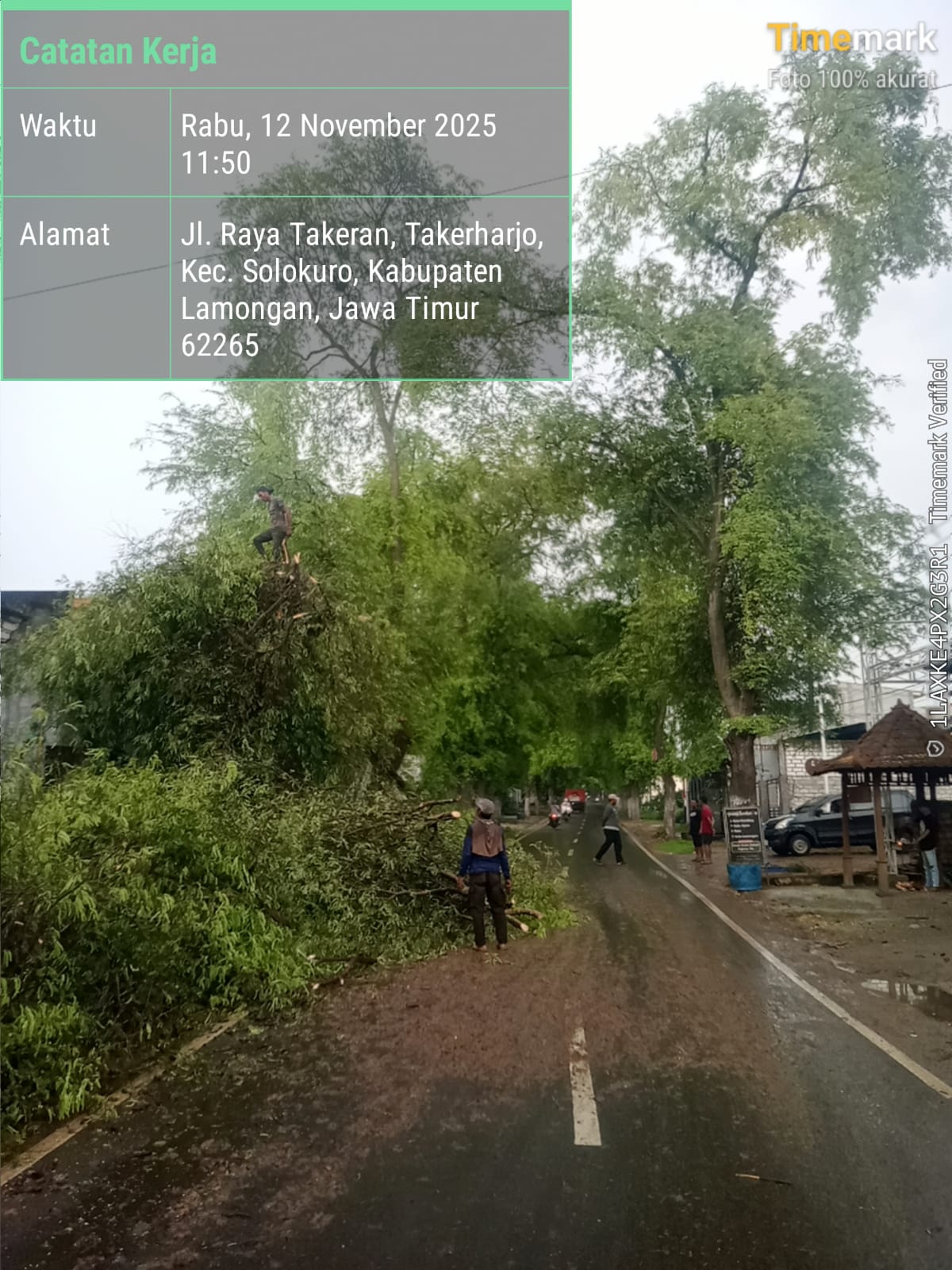 Foto: PEMANGKASAN POHON ASAM DI DESA TAKERHARJO MENGANTISIPASI CUACA EKSTRIM