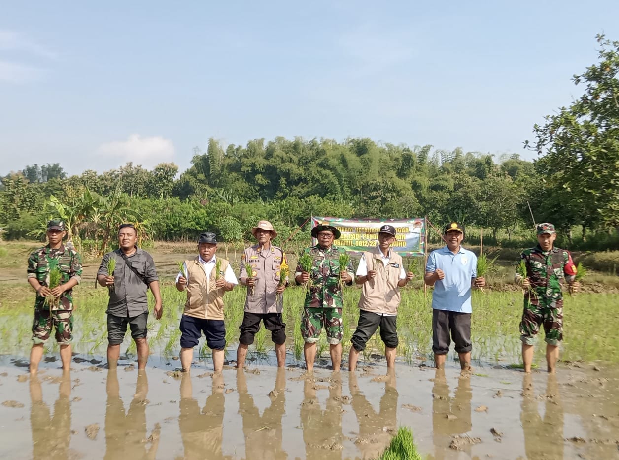Penanaman Padi Jenis PMJ 01 Dalam Rangka Mendukung Program Ketahanan Pangan Nasional
