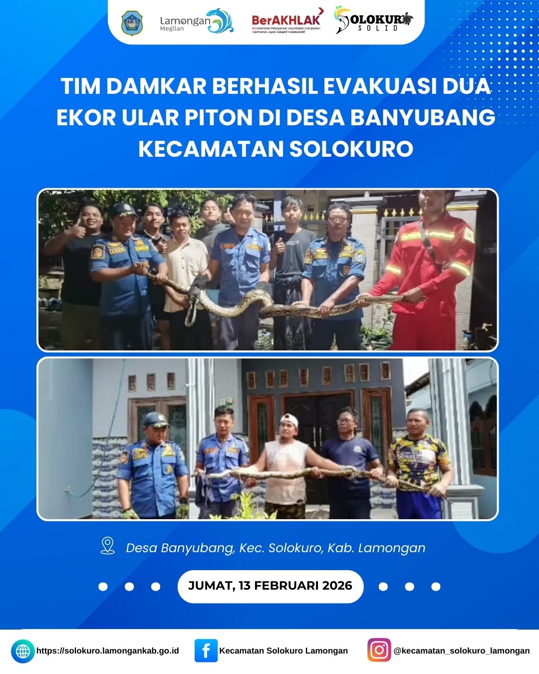 Foto: TIM DAMKAR BERHASIL EVAKUASI DUA EKOR ULAR PITON DI DESA BANYUBANG SOLOKURO