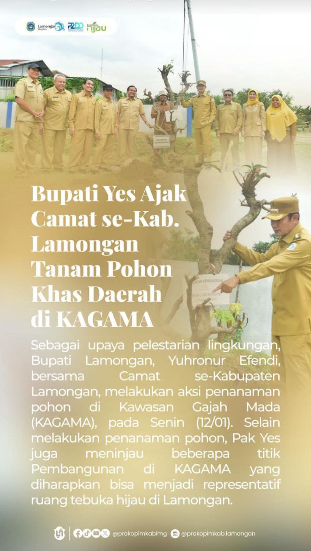 Foto: BUPATI YES AJAK CAMAT SE-KABUPATEN LAMONGAN TANAM POHON KHAS DAERAH DI KAGAMA