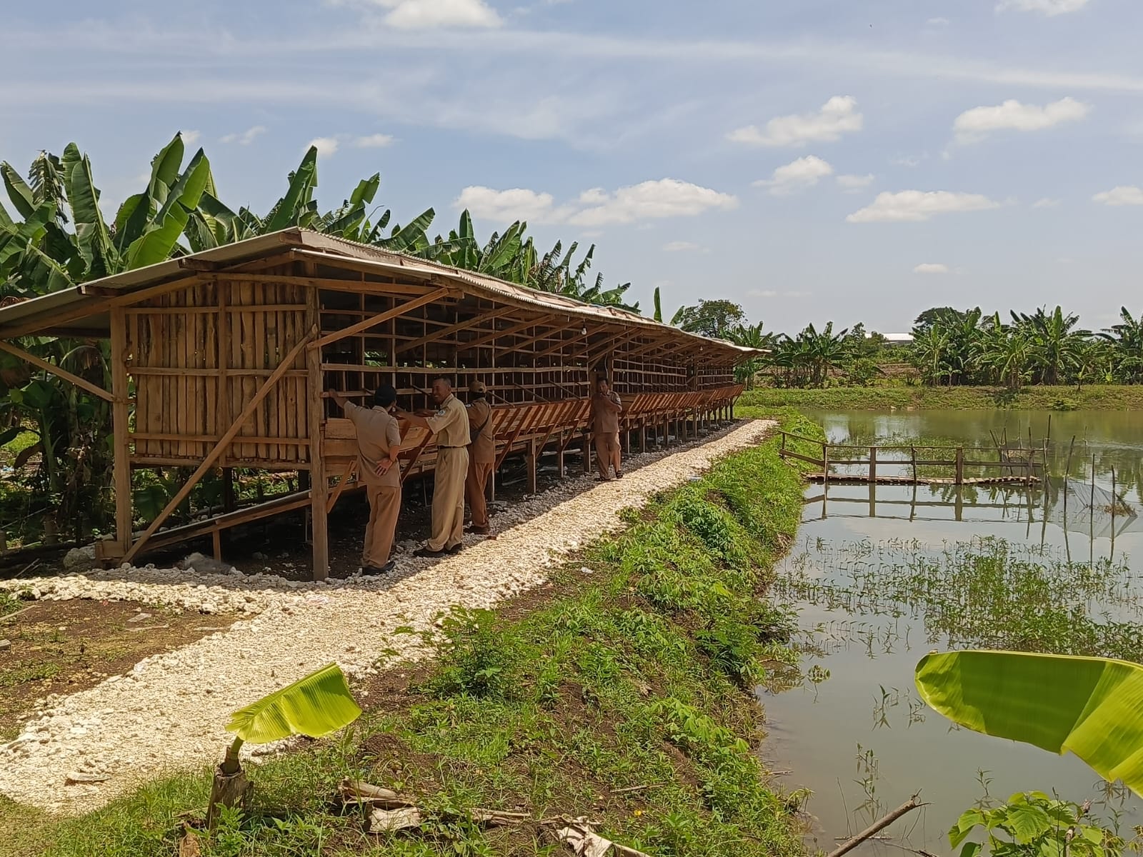 Foto: Program Ketahanan Pangan Desa German