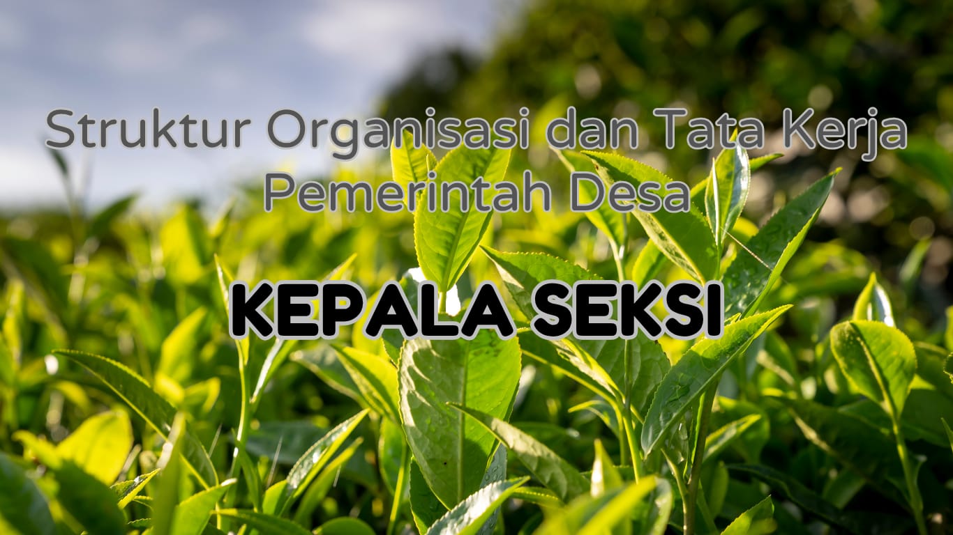 Foto: Tugas dan Fungsi Kepala Seksi