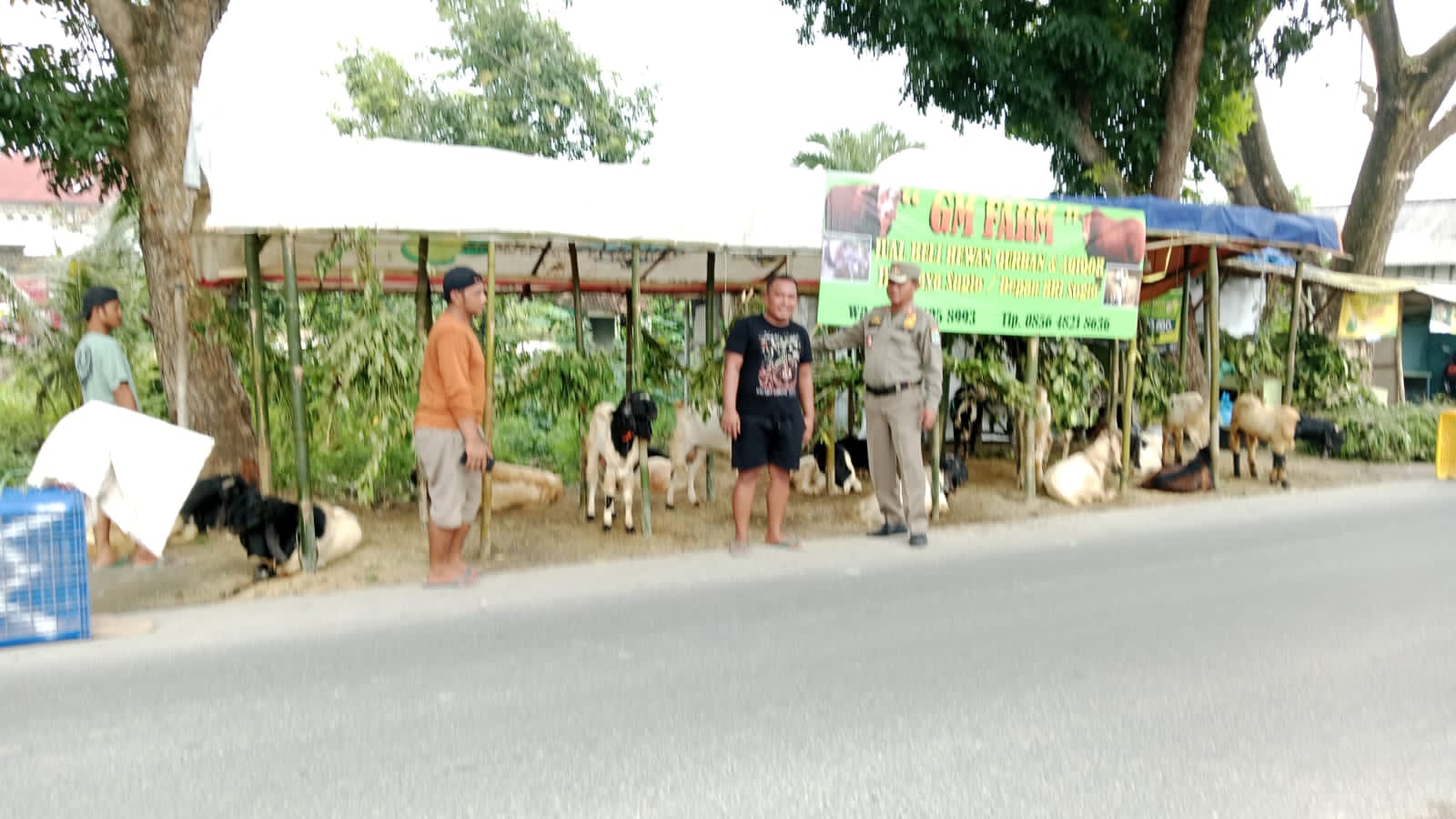 Penertiban Penjual Hewan Kurban