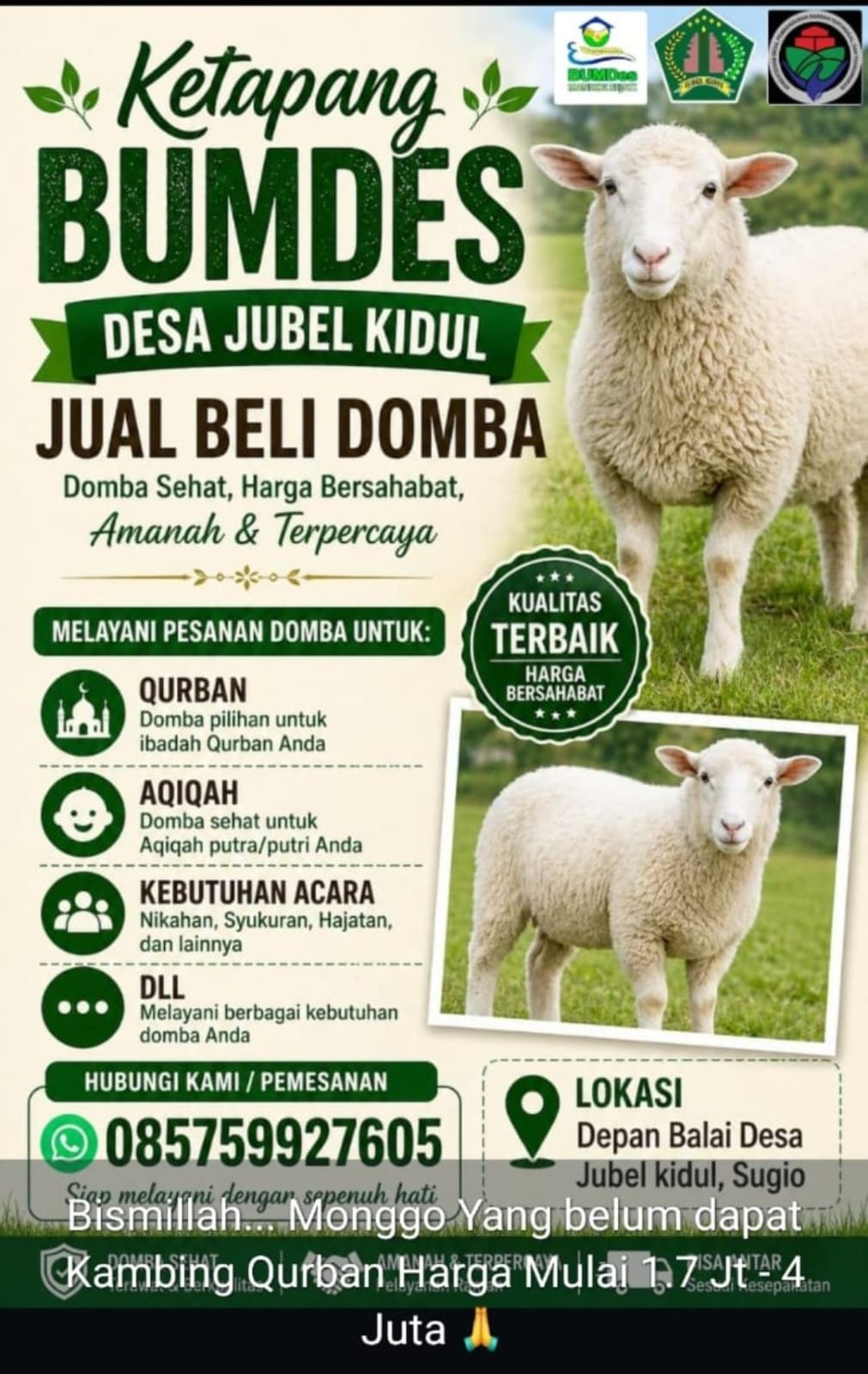 Foto: Butuh Hewan Kurban?