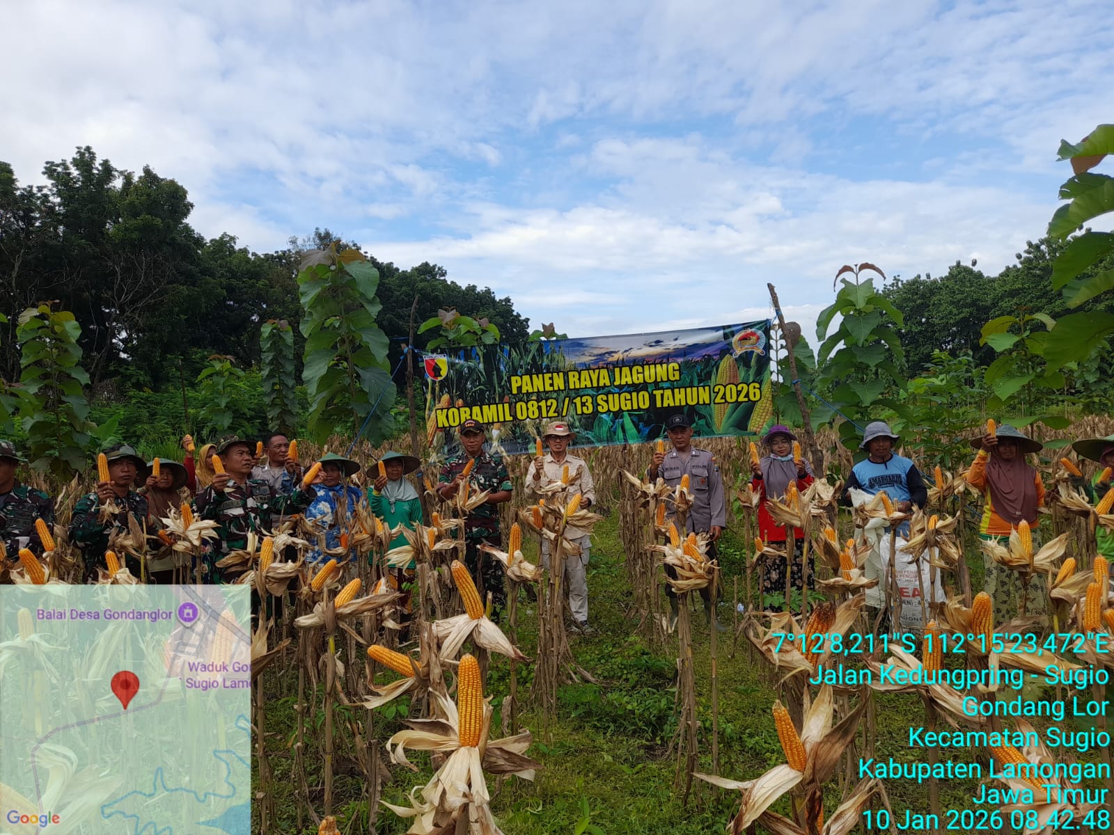 Foto: Panen Raya Jagung
