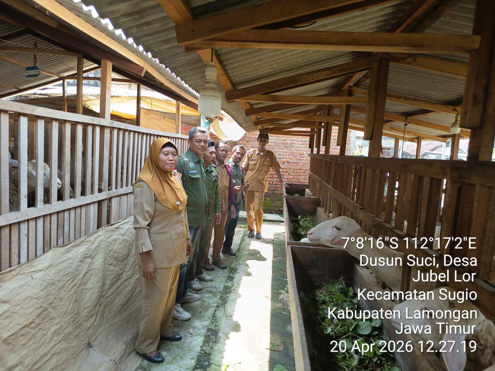 Foto: Program Ketahanan Pangan BUMDesa Jubellor