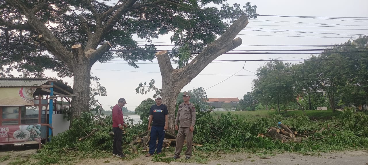 Foto: Pemangkasan Pohon