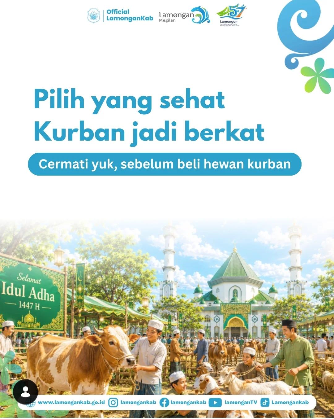 Foto: Kenali Hewan Kurban Sebelum Membeli