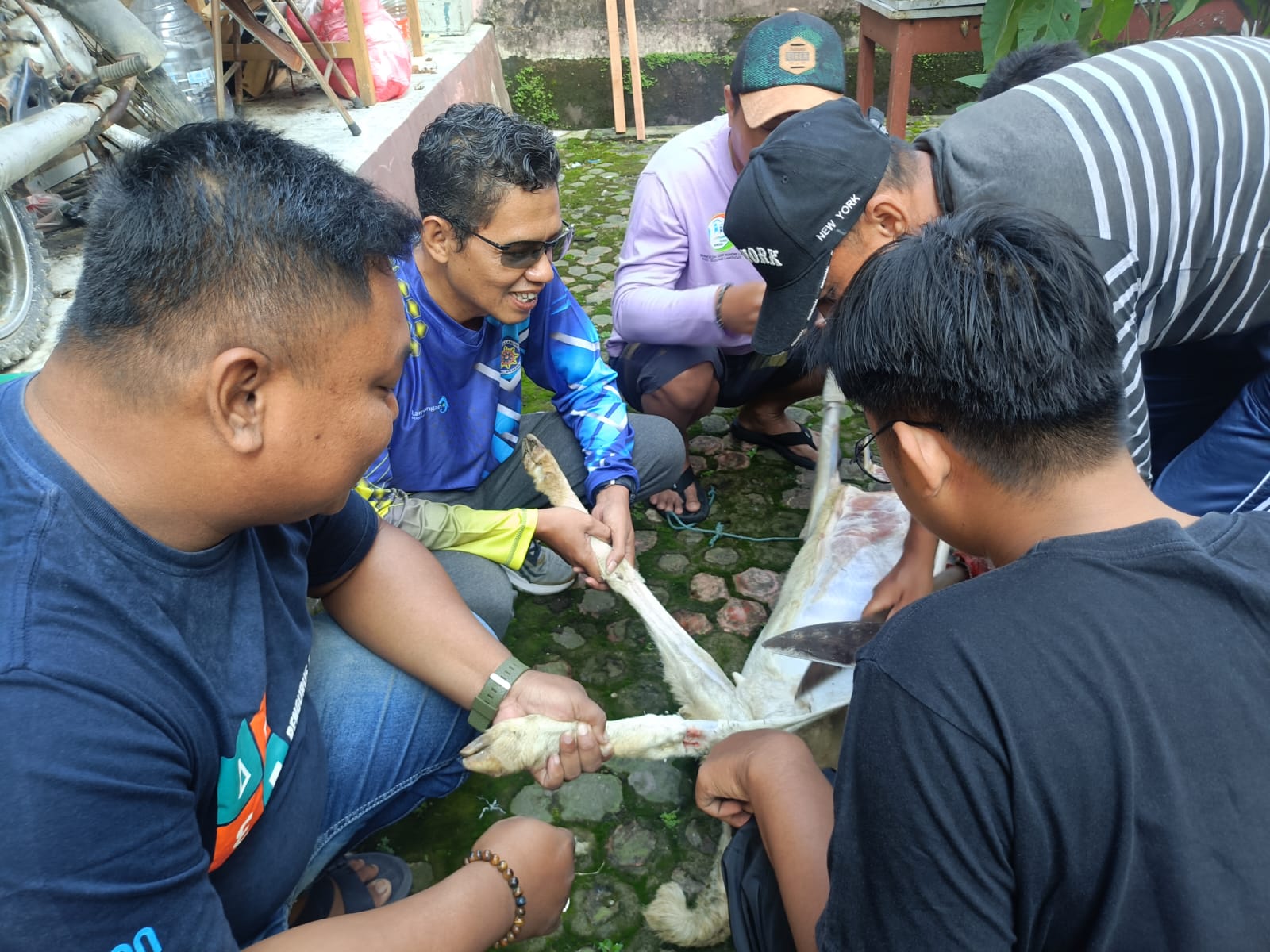 Foto: Penyembelihan Hewan Kurban