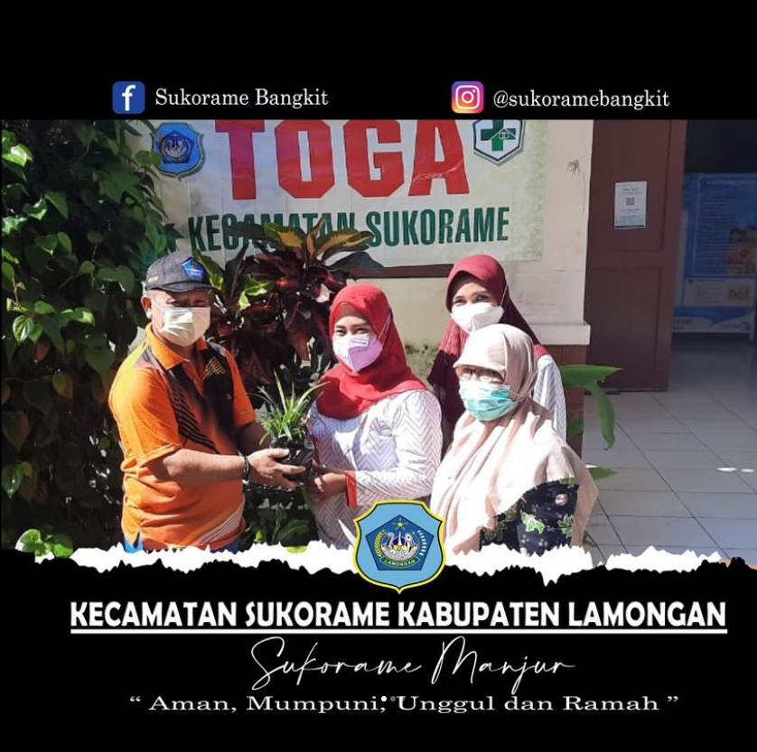 persiapan penilaian Lomba Asman TOGA