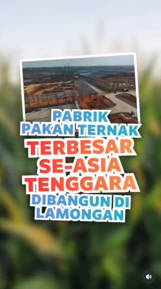 Menuju transformasi Lamongan sebagai pusat industri pakan ternak terintegrasi.