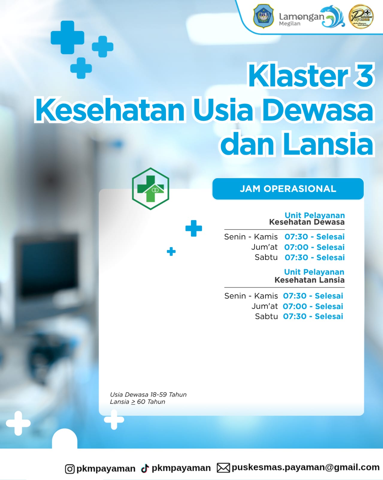 Klaster 3 Kesehatan Usia Dewas dan Lansia